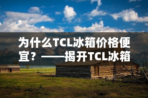 为什么TCL冰箱价格便宜?——揭开TCL冰箱价格低廉的背后真相 为什么TCL冰箱价格便宜?——揭开TCL冰箱价格低廉的背后真相