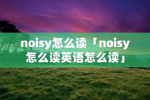 noisy怎么读「noisy怎么读英语怎么读」