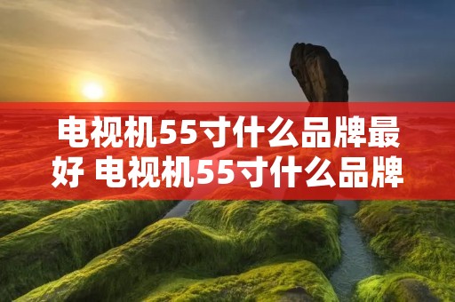 电视机55寸什么品牌最好 电视机55寸什么品牌最好的 电视机55寸什么品牌最好 电视机55寸什么品牌最好的