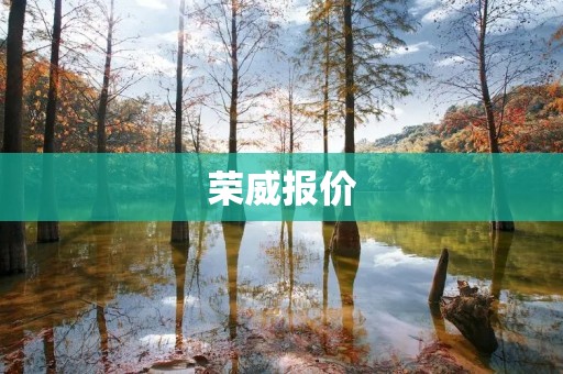 荣威报价：荣威RX5 MAX新车型亮相，性价比更高！