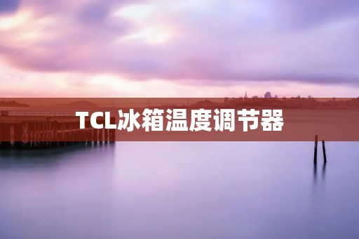 TCL冰箱温度调节器：为您带来更好的冷藏体验