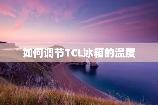 如何调节TCL冰箱的温度