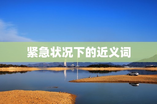 紧急状况下的近义词