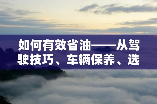 如何有效省油——从驾驶技巧、车辆保养、选购油品三方面探讨 如何有效省油——从驾驶技巧、车辆保养、选购油品三方面探讨