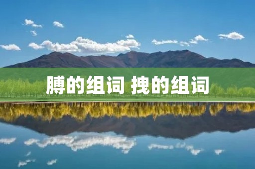 膊的组词 拽的组词