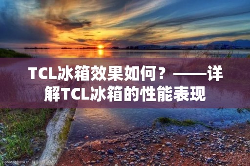 TCL冰箱效果如何？——详解TCL冰箱的性能表现