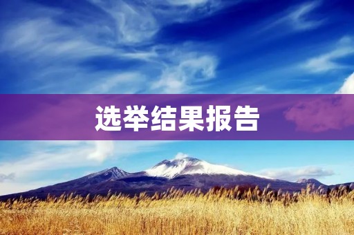 选举结果报告:2021年美国总统选举结果分析