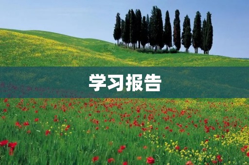 学习报告:掌握学习方法,提高学习效率