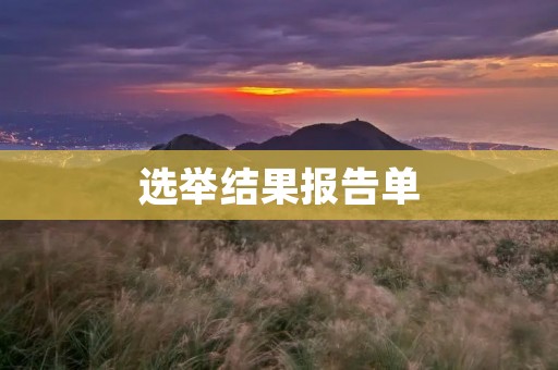 选举结果报告单:揭开胜负之争的真相