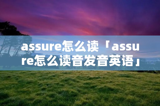 assure怎么读「assure怎么读音发音英语」