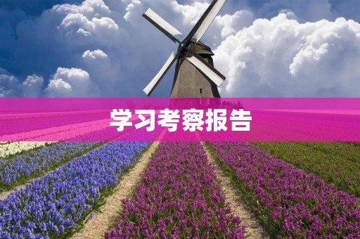 学习考察报告:如何提高学习效率