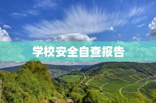学校安全自查报告:从细节入手,全面提升校园安全