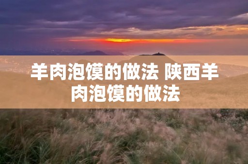 羊肉泡馍的做法 陕西羊肉泡馍的做法 羊肉泡馍的做法 陕西羊肉泡馍的做法