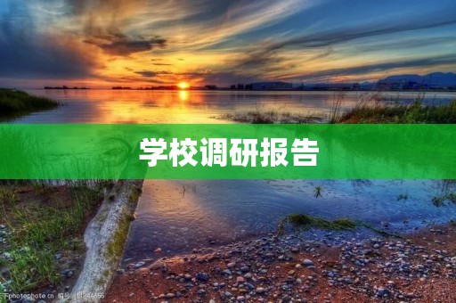 学校调研报告:探究学生对校园生活的满意度