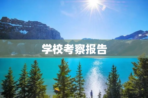 学校考察报告:对某中学的实地调研