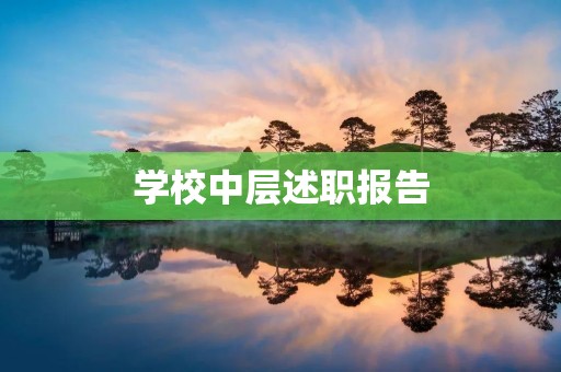 学校中层述职报告:促进教师专业发展