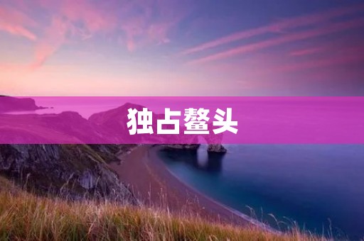 独占鳌头:大型企业如何在市场竞争中脱颖而出?