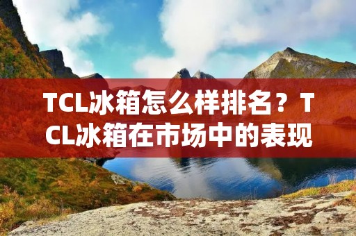 TCL冰箱怎么样排名?TCL冰箱在市场中的表现如何? TCL冰箱怎么样排名?TCL冰箱在市场中的表现如何?