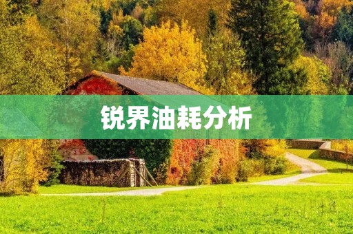 锐界油耗分析:如何提高油耗效率? 锐界油耗分析:如何提高油耗效率?