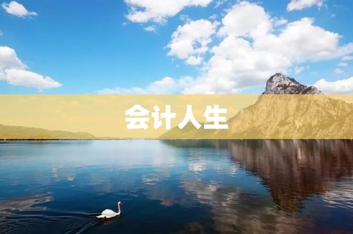 会计人生：从一名新手到精湛技艺的全过程