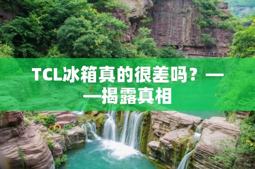 TCL冰箱真的很差吗？——揭露真相