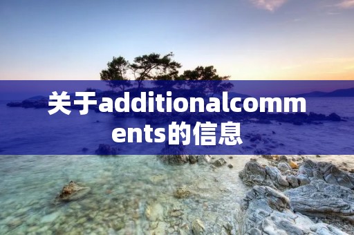 关于additionalcomments的信息