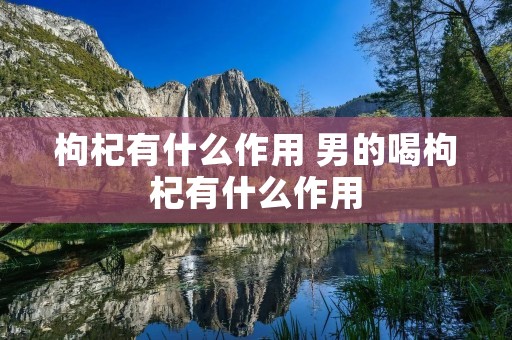 枸杞有什么作用 男的喝枸杞有什么作用
