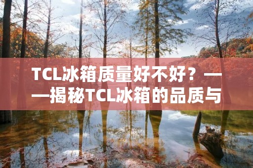 TCL冰箱质量好不好?——揭秘TCL冰箱的品质与用户评价 TCL冰箱质量好不好?——揭秘TCL冰箱的品质与用户评价