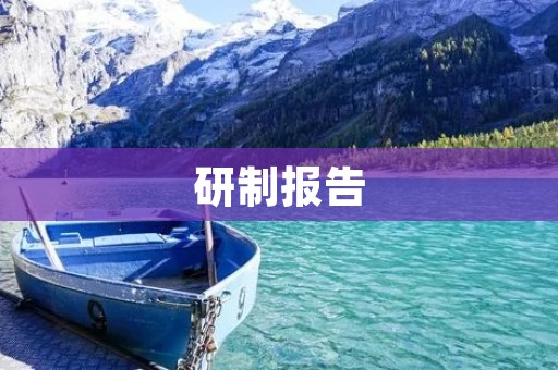 研制报告:基于机器学习的人脸识别技术研究