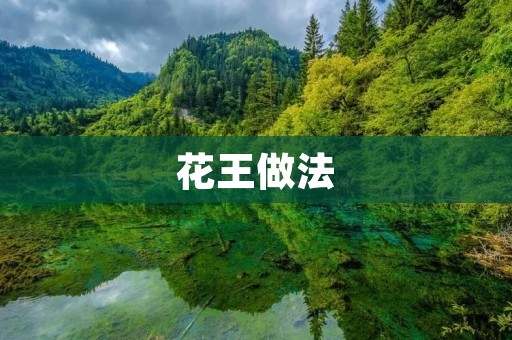 花王做法:让你的家居清洁更加简单高效 花王做法:让你的家居清洁更加简单高效