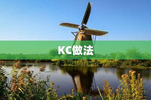 KC做法:一种高效的问题解决方法 KC做法:一种高效的问题解决方法