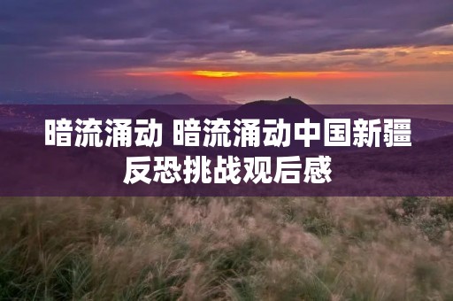 暗流涌动 暗流涌动中国新疆反恐挑战观后感