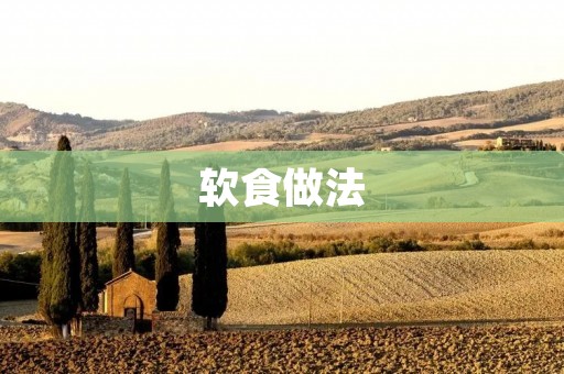 软食做法:让你轻松享受美食的秘诀 软食做法:让你轻松享受美食的秘诀