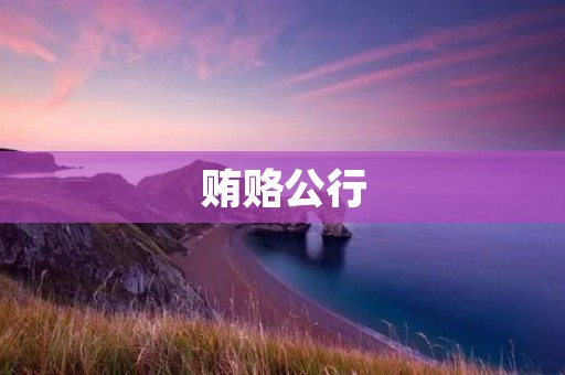 贿赂公行:揭开黑暗面的必要性 贿赂公行:揭开黑暗面的必要性