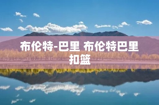 布伦特-巴里 布伦特巴里扣篮