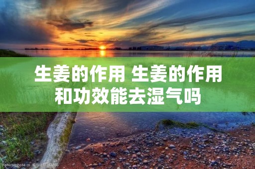生姜的作用 生姜的作用和功效能去湿气吗