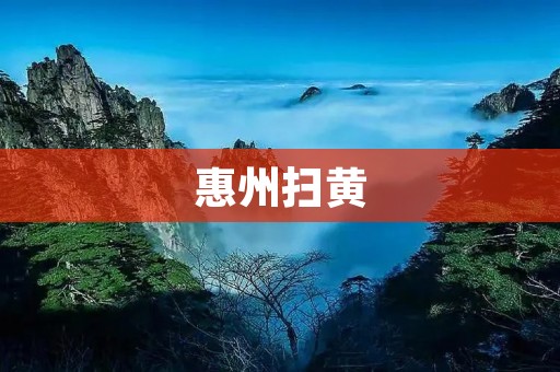 惠州扫黄：从源头治理，维护社会风气