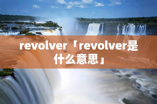 revolver「revolver是什么意思」