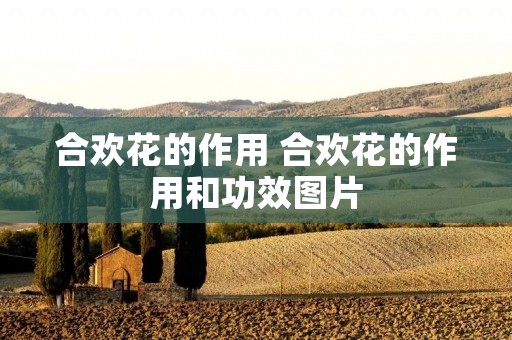 合欢花的作用 合欢花的作用和功效图片