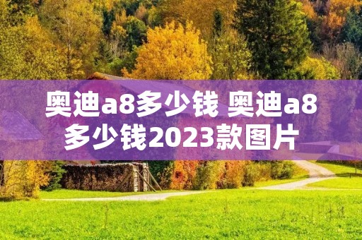 奥迪a8多少钱 奥迪a8多少钱2023款图片