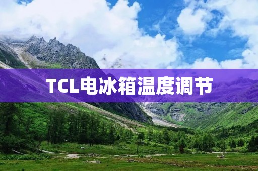 TCL电冰箱温度调节：如何正确设置？