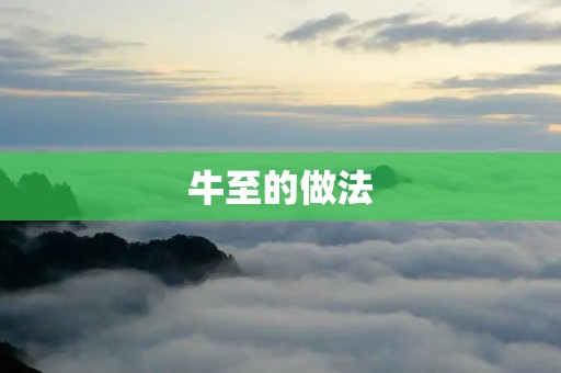 牛至的做法：让你在家也能享受美食
