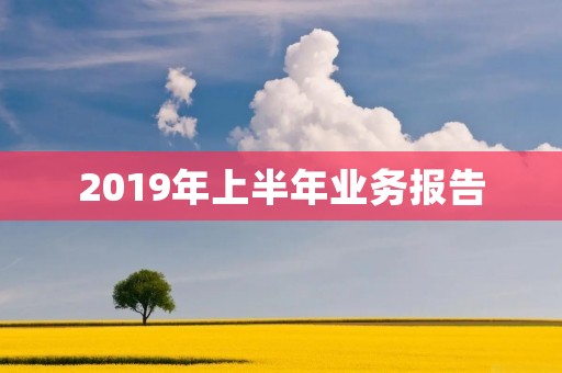 2019年上半年业务报告:公司稳步发展,经营业绩持续提升