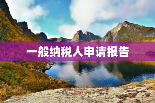 一般纳税人申请报告