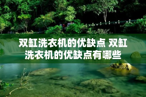 双缸洗衣机的优缺点 双缸洗衣机的优缺点有哪些