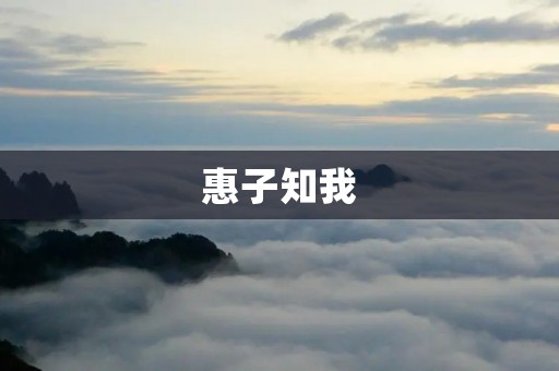 惠子知我：一种新型社交方式的探索