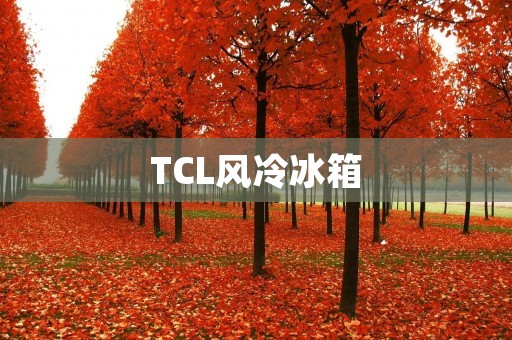 TCL风冷冰箱:为你带来更加智能和便捷的使用体验 TCL风冷冰箱:为你带来更加智能和便捷的使用体验