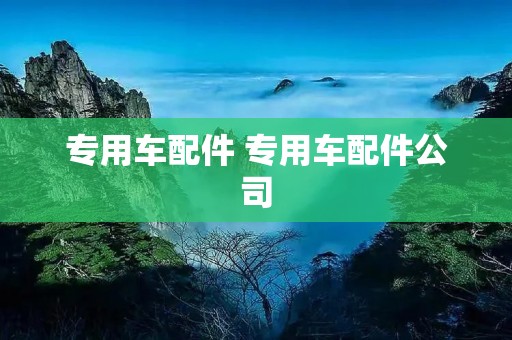 专用车配件 专用车配件公司 专用车配件 专用车配件公司