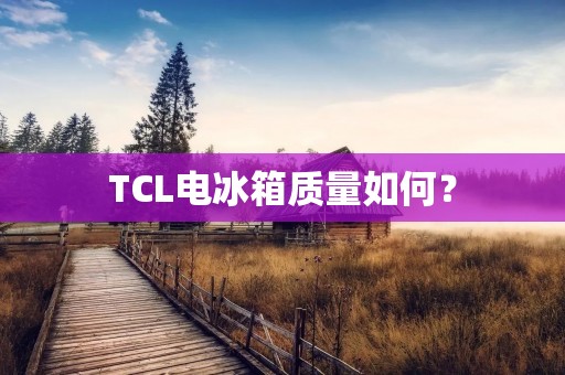TCL电冰箱质量如何？