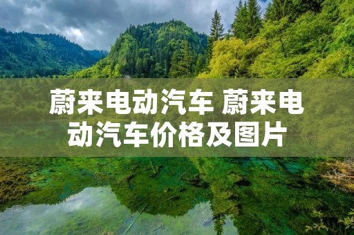 蔚来电动汽车 蔚来电动汽车价格及图片